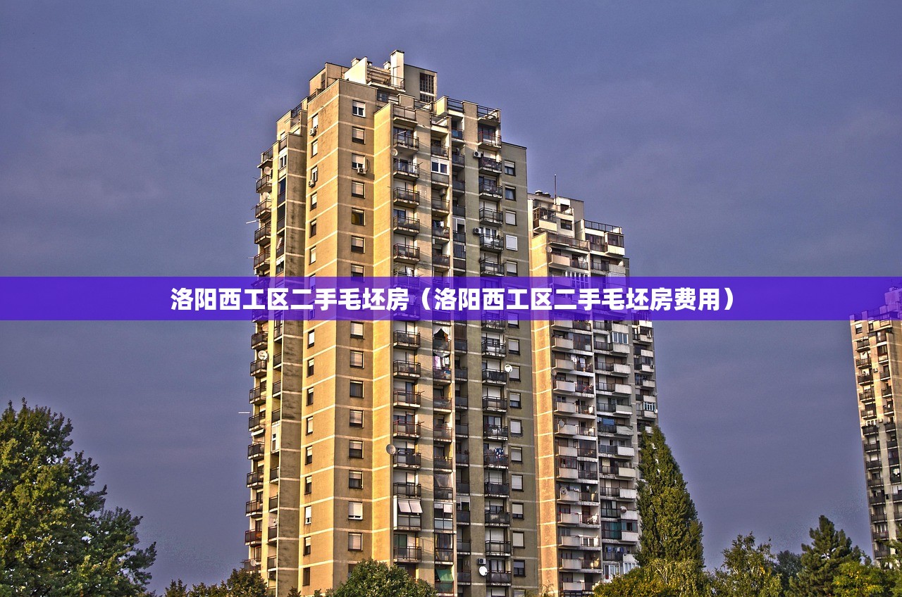 洛阳西工区二手毛坯房（洛阳西工区二手毛坯房费用）