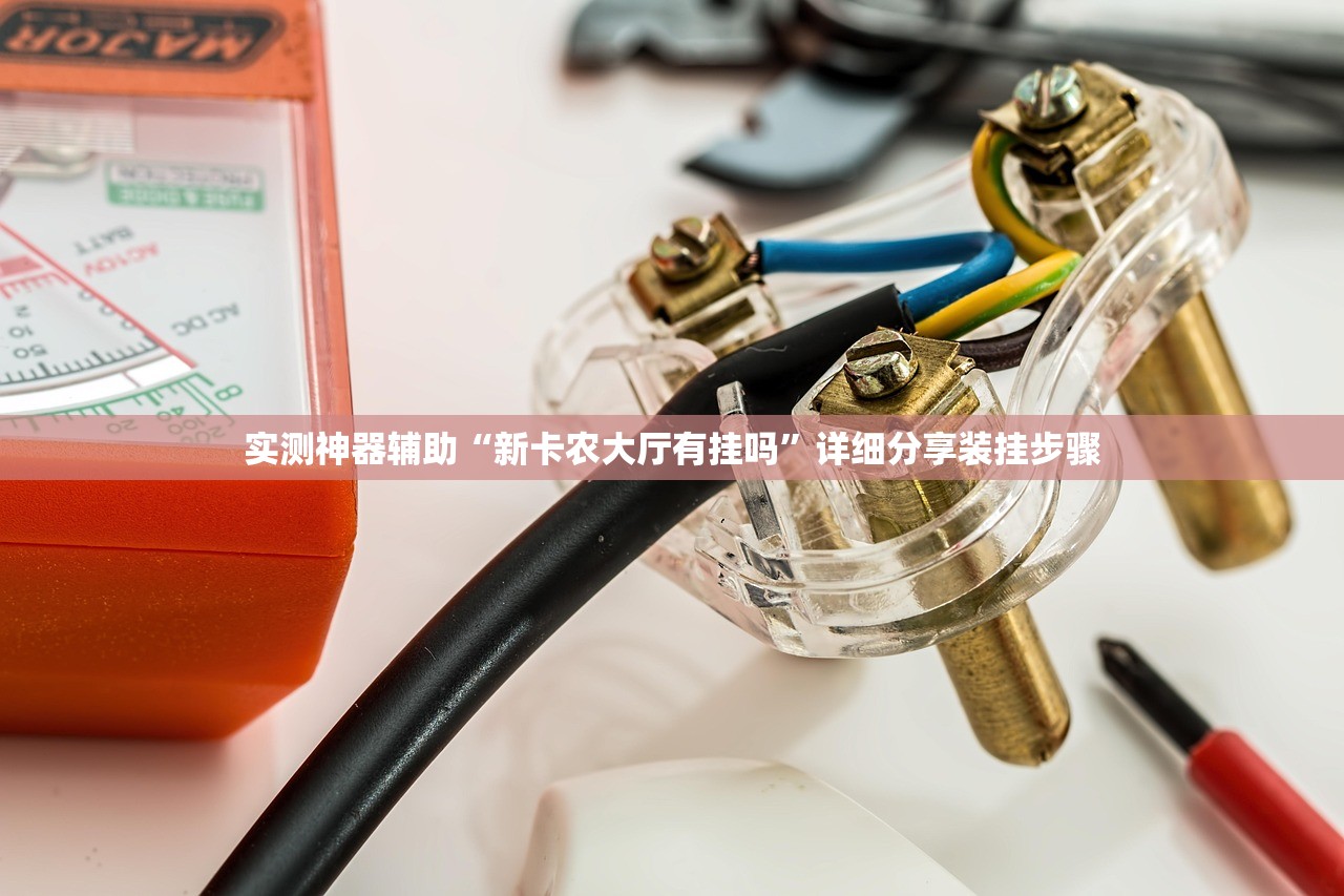 实测神器辅助“新卡农大厅有挂吗”详细分享装挂步骤