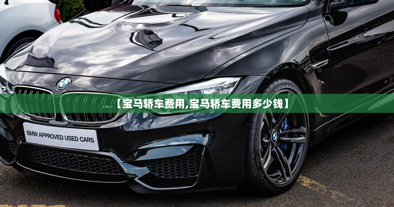 【宝马轿车费用,宝马轿车费用多少钱】