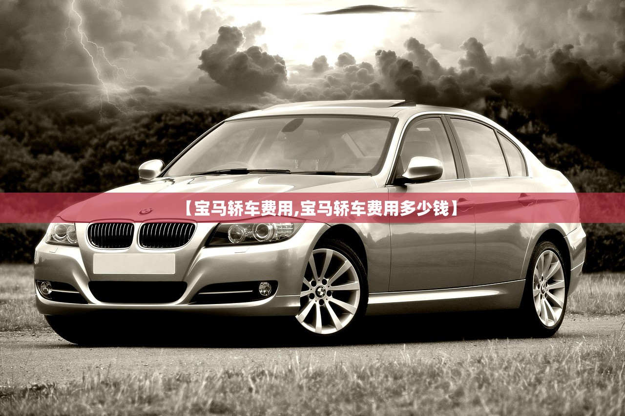 【宝马轿车费用,宝马轿车费用多少钱】