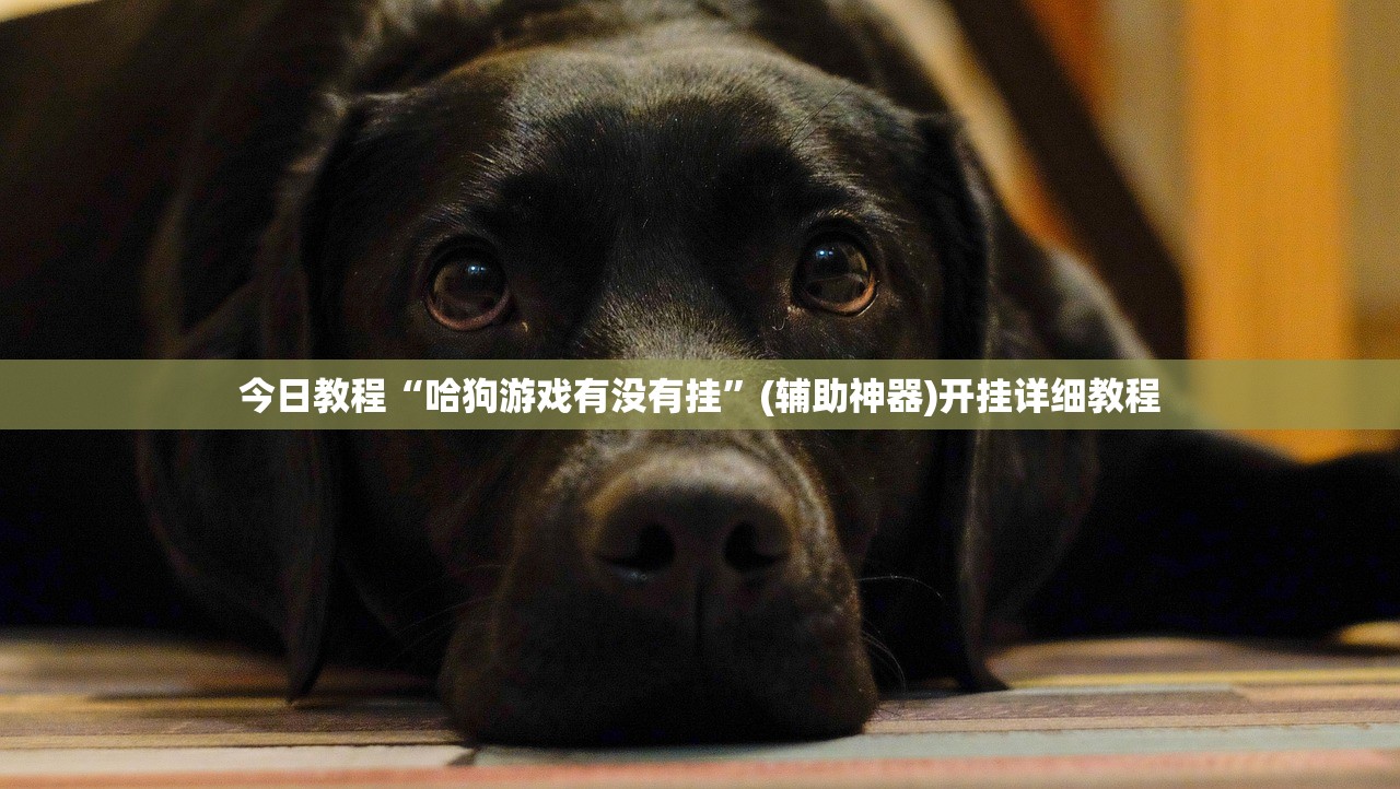 今日教程“哈狗游戏有没有挂”(辅助神器)开挂详细教程