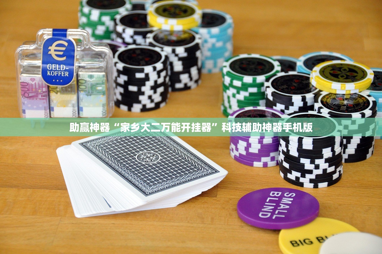 助赢神器“家乡大二万能开挂器”科技辅助神器手机版