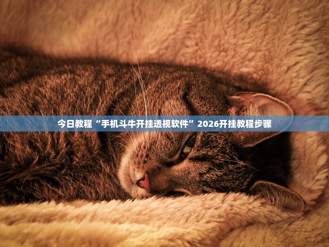 教程辅助!“中至二人麻将有挂吗”开挂(透视)辅助教程