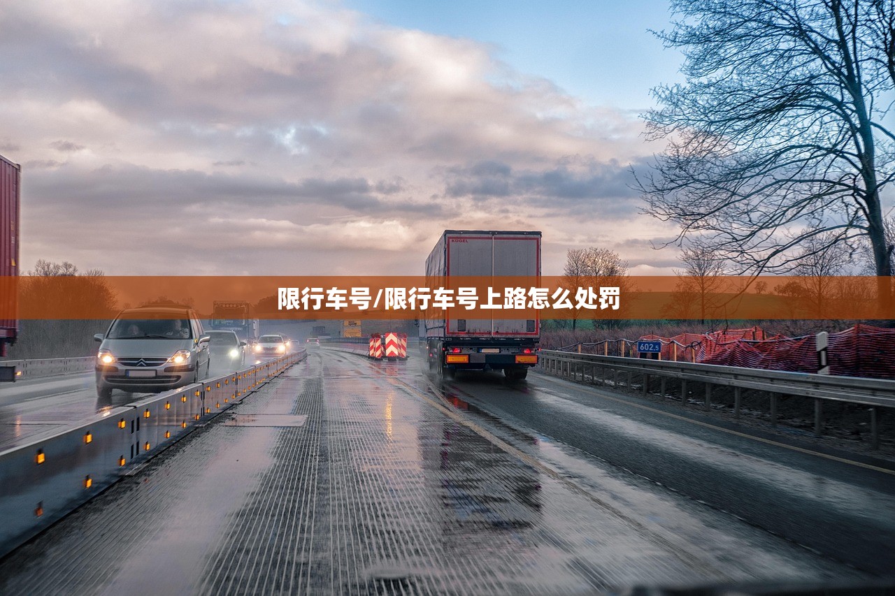 限行车号/限行车号上路怎么处罚