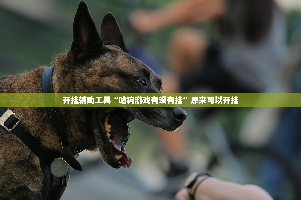 使用分享!手机麻将软件购买”详细外挂透视辅助软件教程
