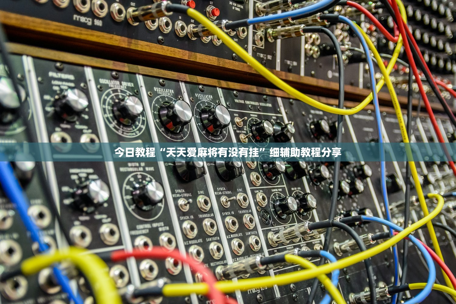 实测神器辅助“天天贵阳麻将开挂神器”开挂详细教程