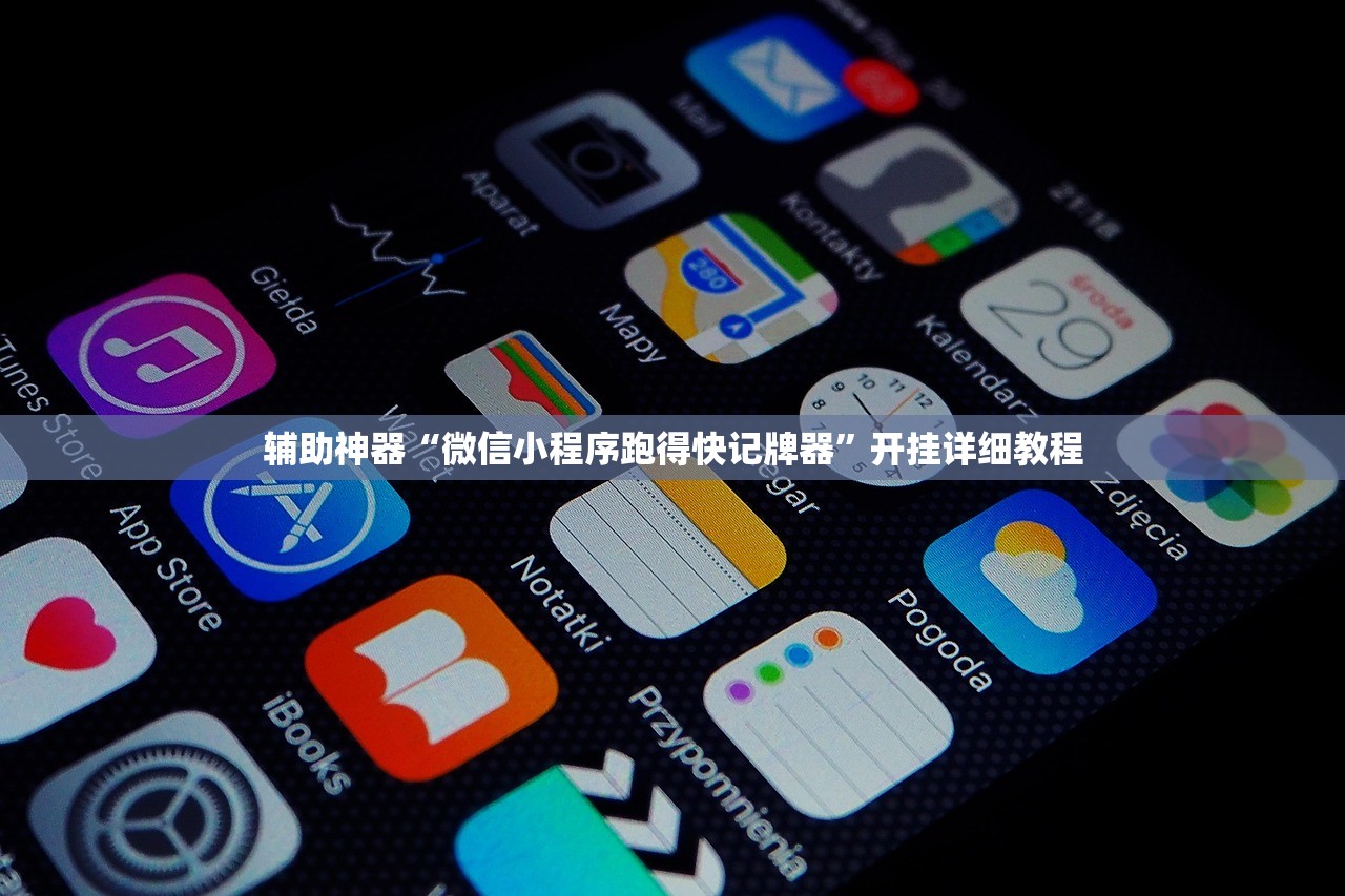 辅助神器“微信小程序跑得快记牌器”开挂详细教程