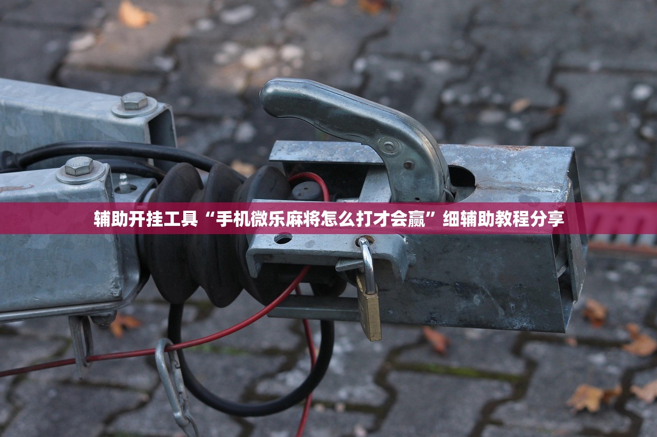 辅助开挂工具“手机微乐麻将怎么打才会赢”细辅助教程分享