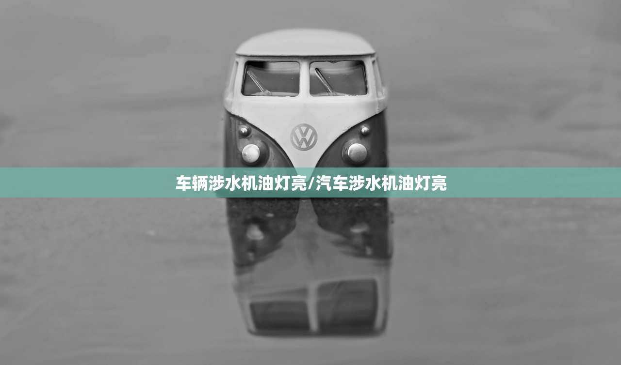 车辆涉水机油灯亮/汽车涉水机油灯亮