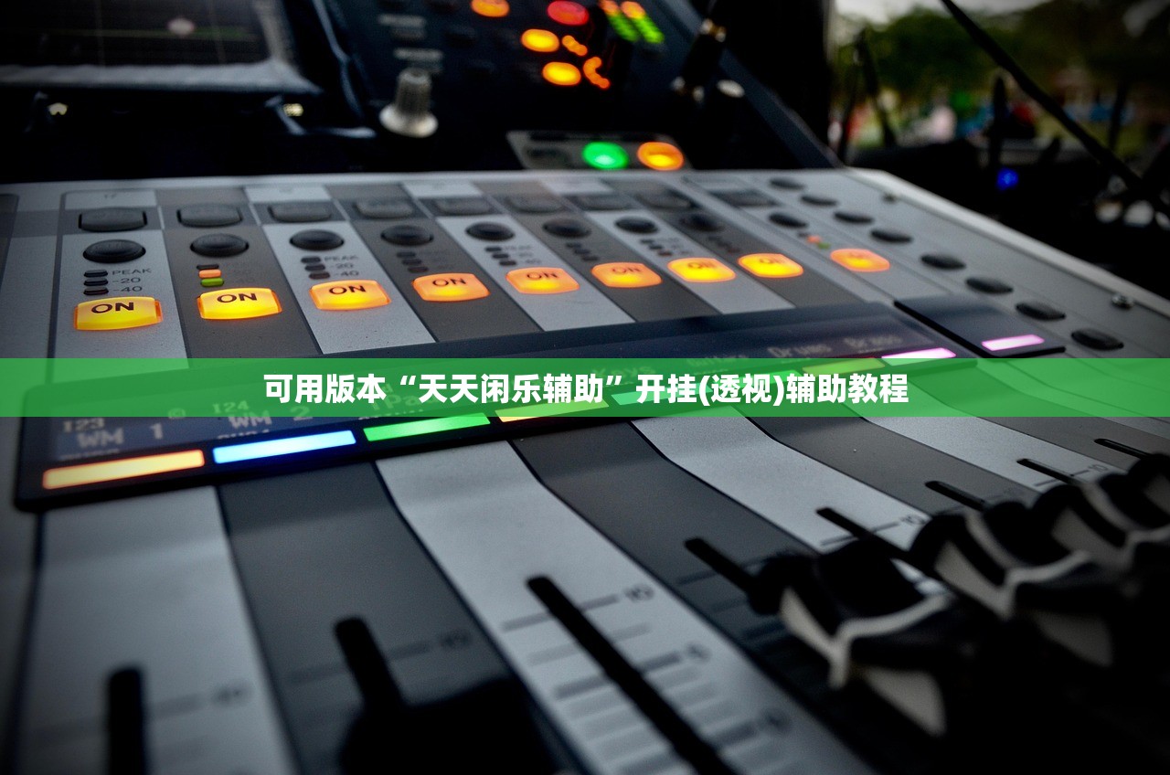 可用版本“天天闲乐辅助”开挂(透视)辅助教程