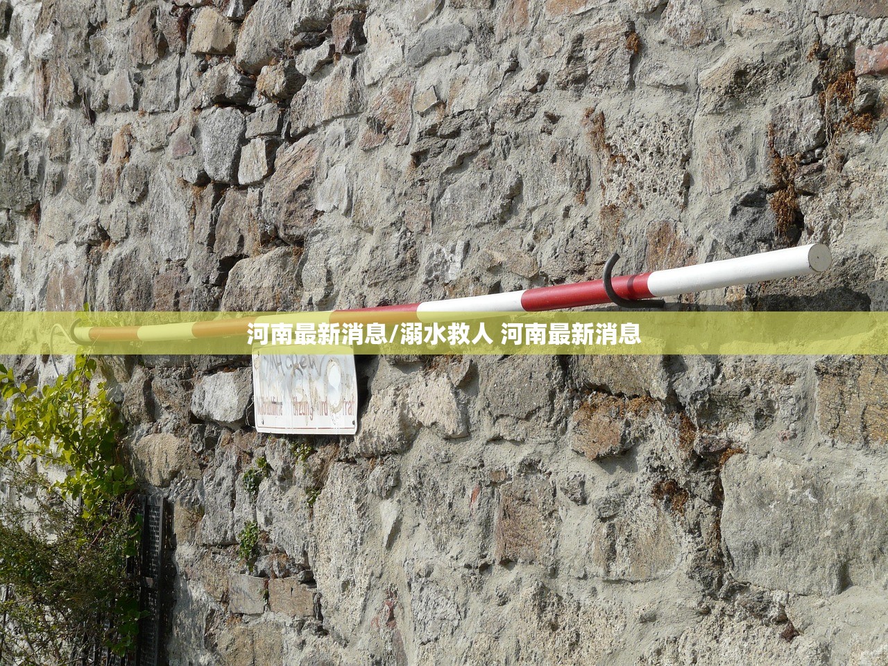 河南最新消息/溺水救人 河南最新消息