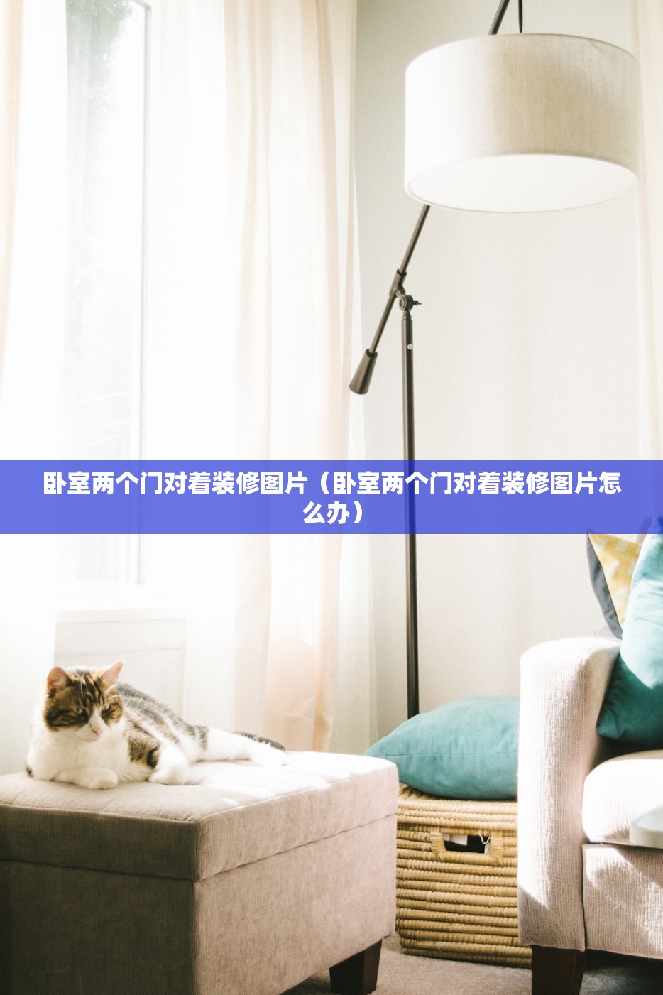 辅助神器“微乐甘肃麻将万能开挂器通用版”详细开挂教程