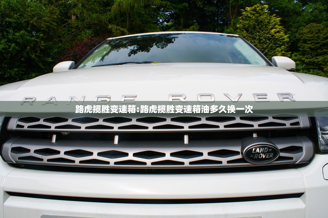 分享实测辅助“微乐河南麻将有没有开挂神器”(透视挂)辅助下载教程