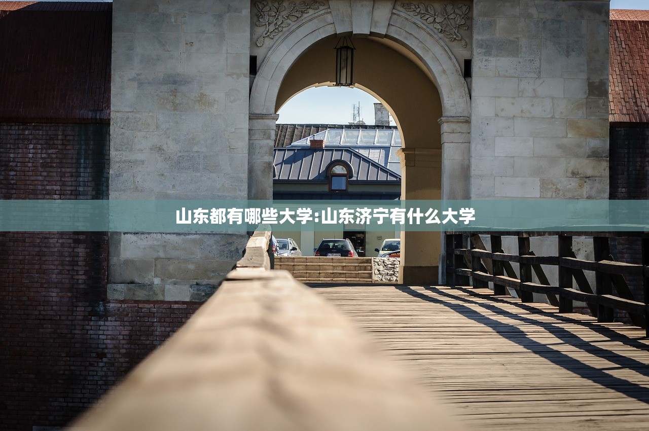 山东都有哪些大学:山东济宁有什么大学