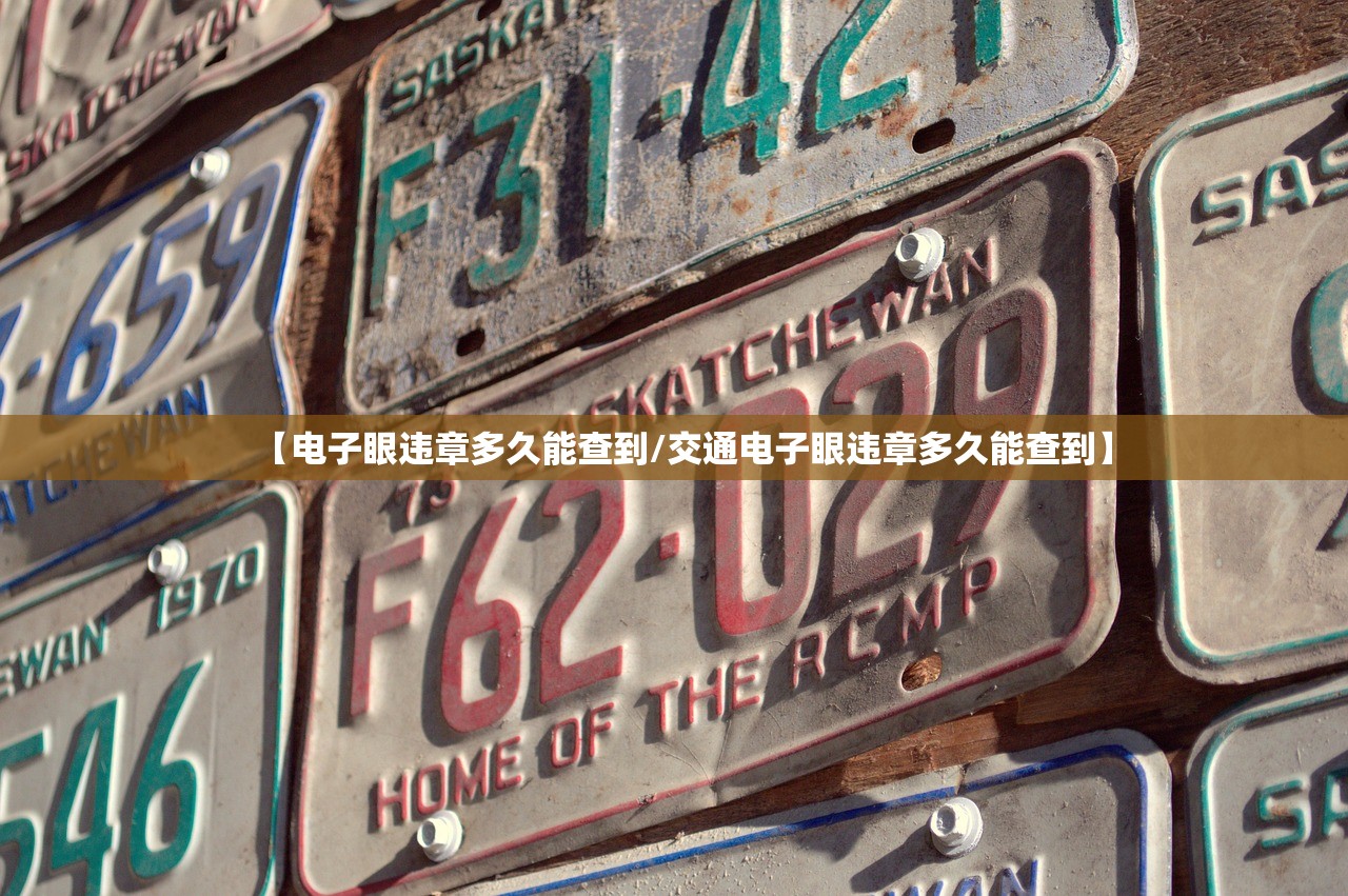 【电子眼违章多久能查到/交通电子眼违章多久能查到】