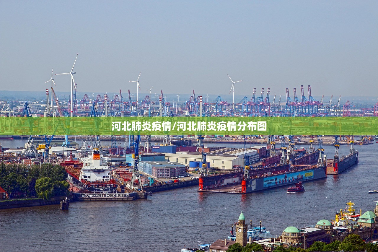 河北肺炎疫情/河北肺炎疫情分布图