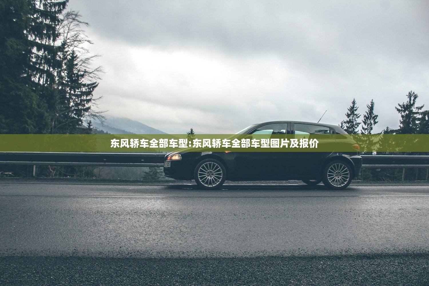 东风轿车全部车型:东风轿车全部车型图片及报价