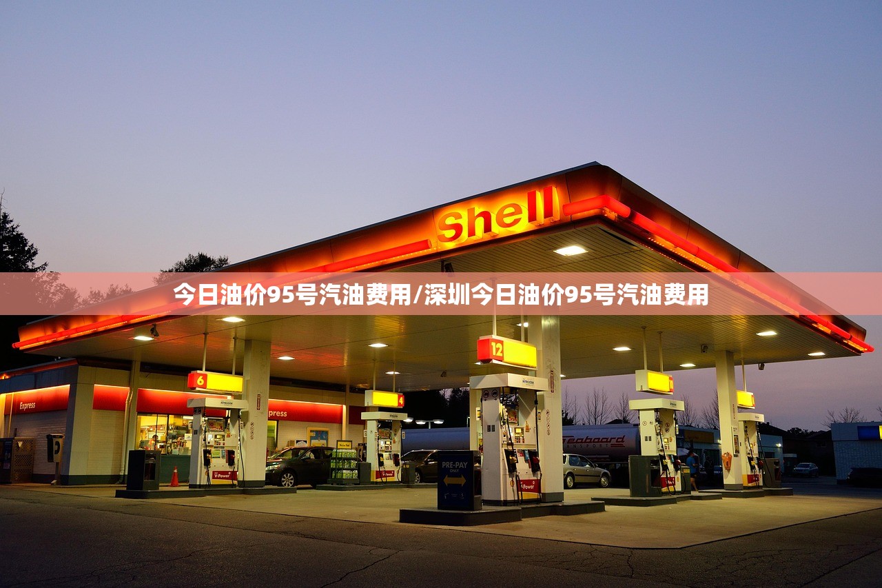今日油价95号汽油费用/深圳今日油价95号汽油费用