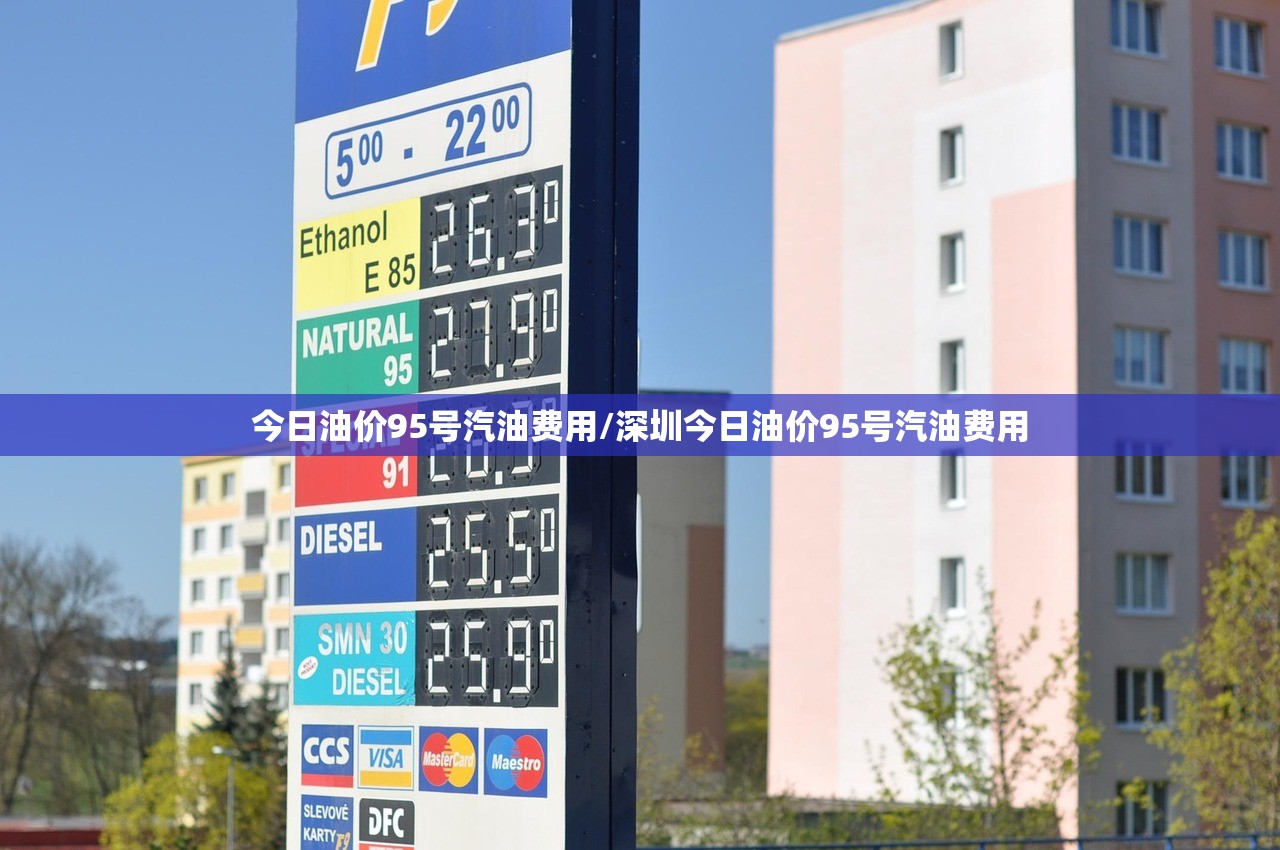 今日油价95号汽油费用/深圳今日油价95号汽油费用