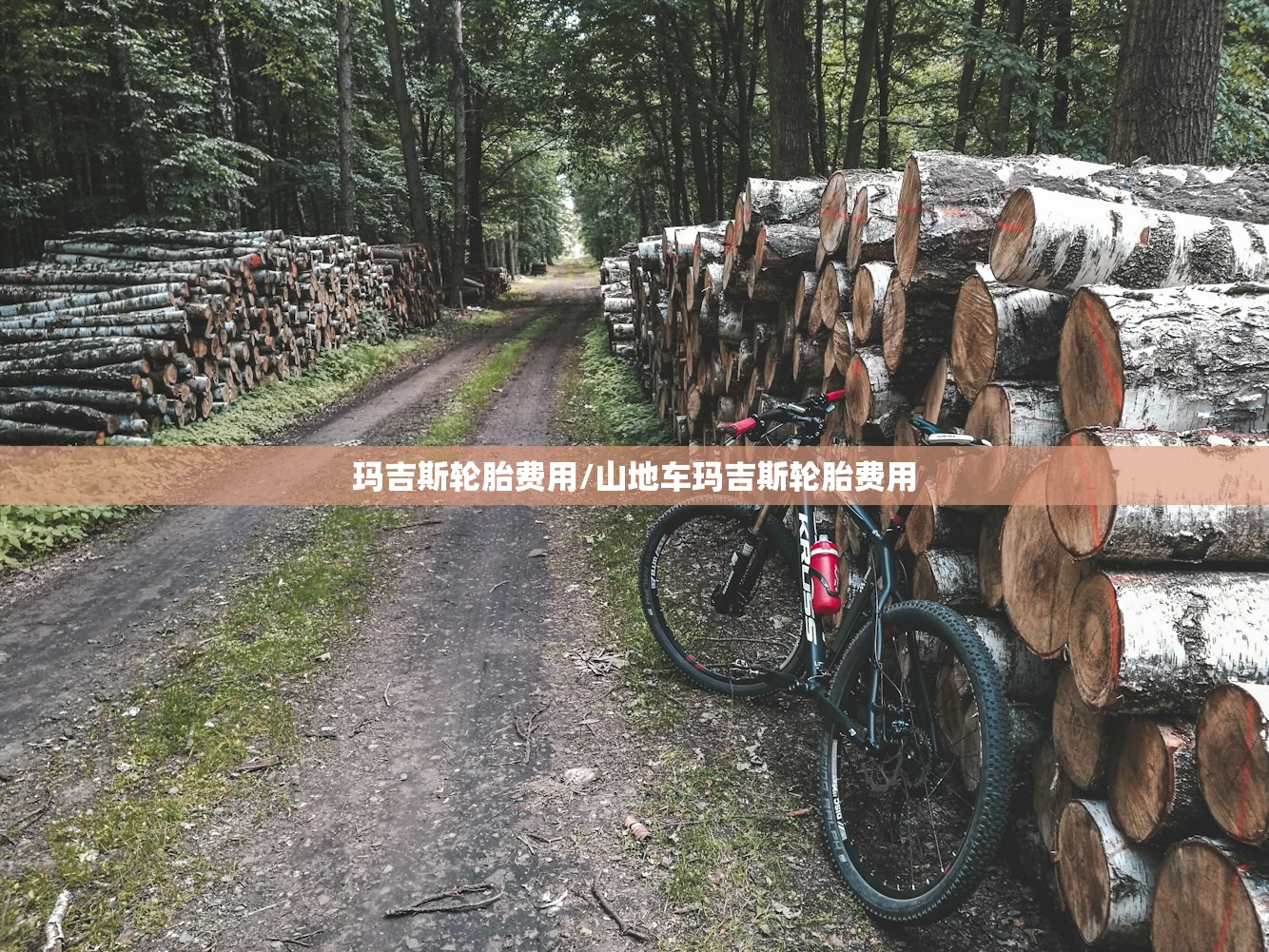 玛吉斯轮胎费用/山地车玛吉斯轮胎费用