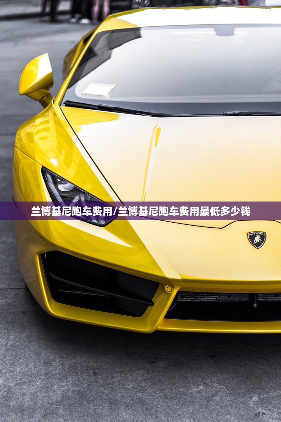 兰博基尼跑车费用/兰博基尼跑车费用最低多少钱 兰博基尼跑车费用/兰博基尼跑车费用最低多少钱