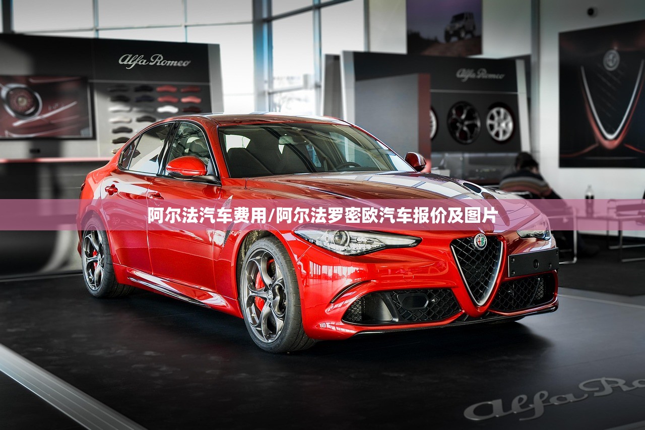阿尔法汽车费用/阿尔法罗密欧汽车报价及图片