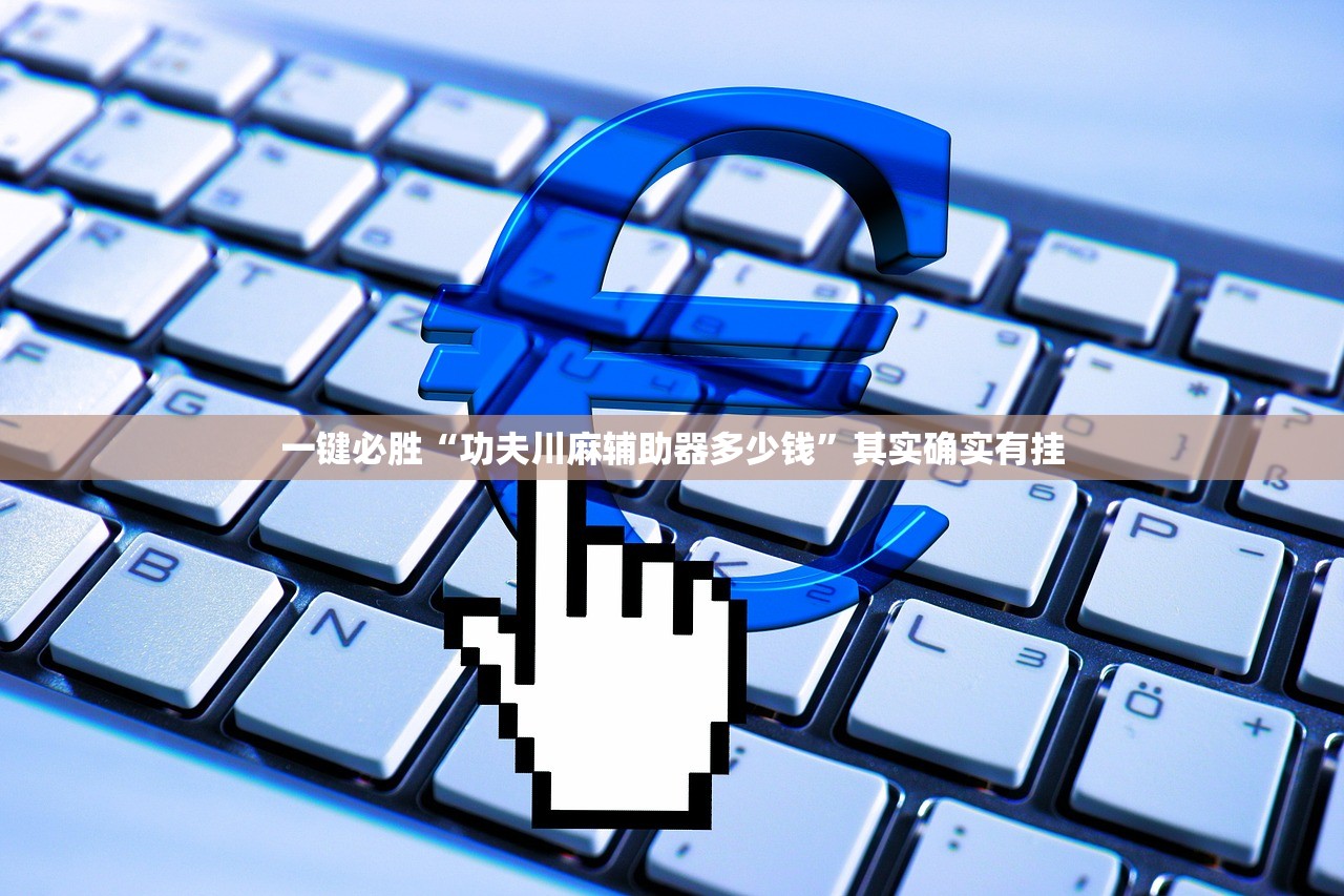 一键必胜“功夫川麻辅助器多少钱”其实确实有挂