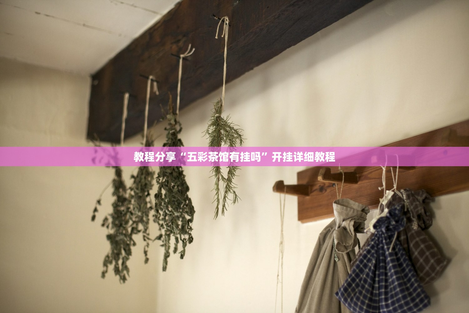 教程分享“五彩茶馆有挂吗”开挂详细教程