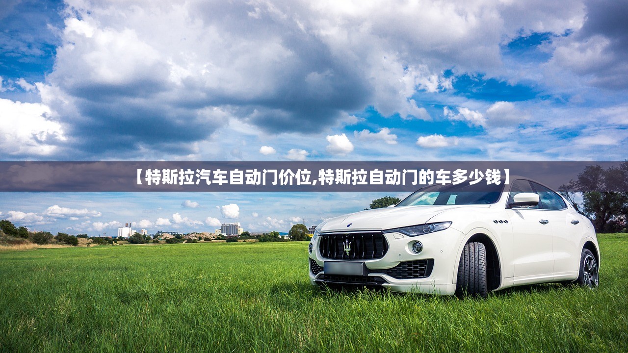 【特斯拉汽车自动门价位,特斯拉自动门的车多少钱】