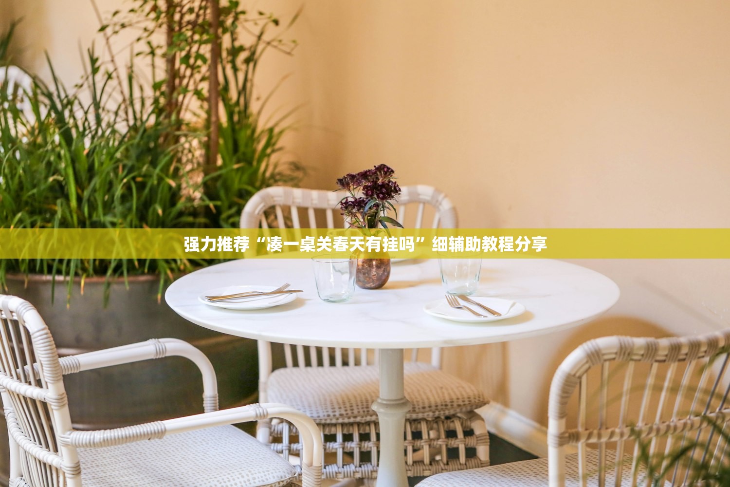海南交警网违章查询:海南交管局官方网站违章查询