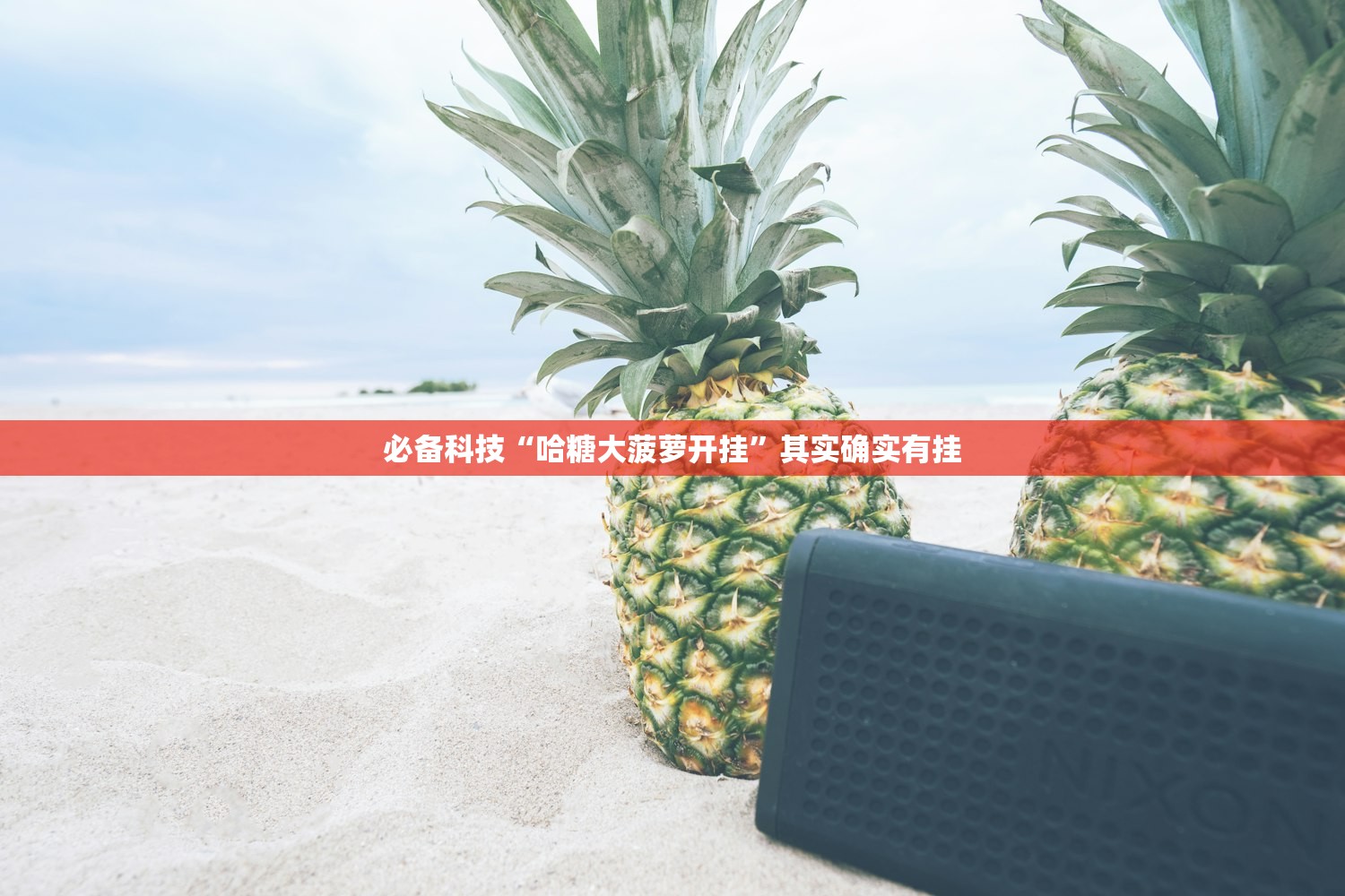 必备科技“哈糖大菠萝开挂	”其实确实有挂