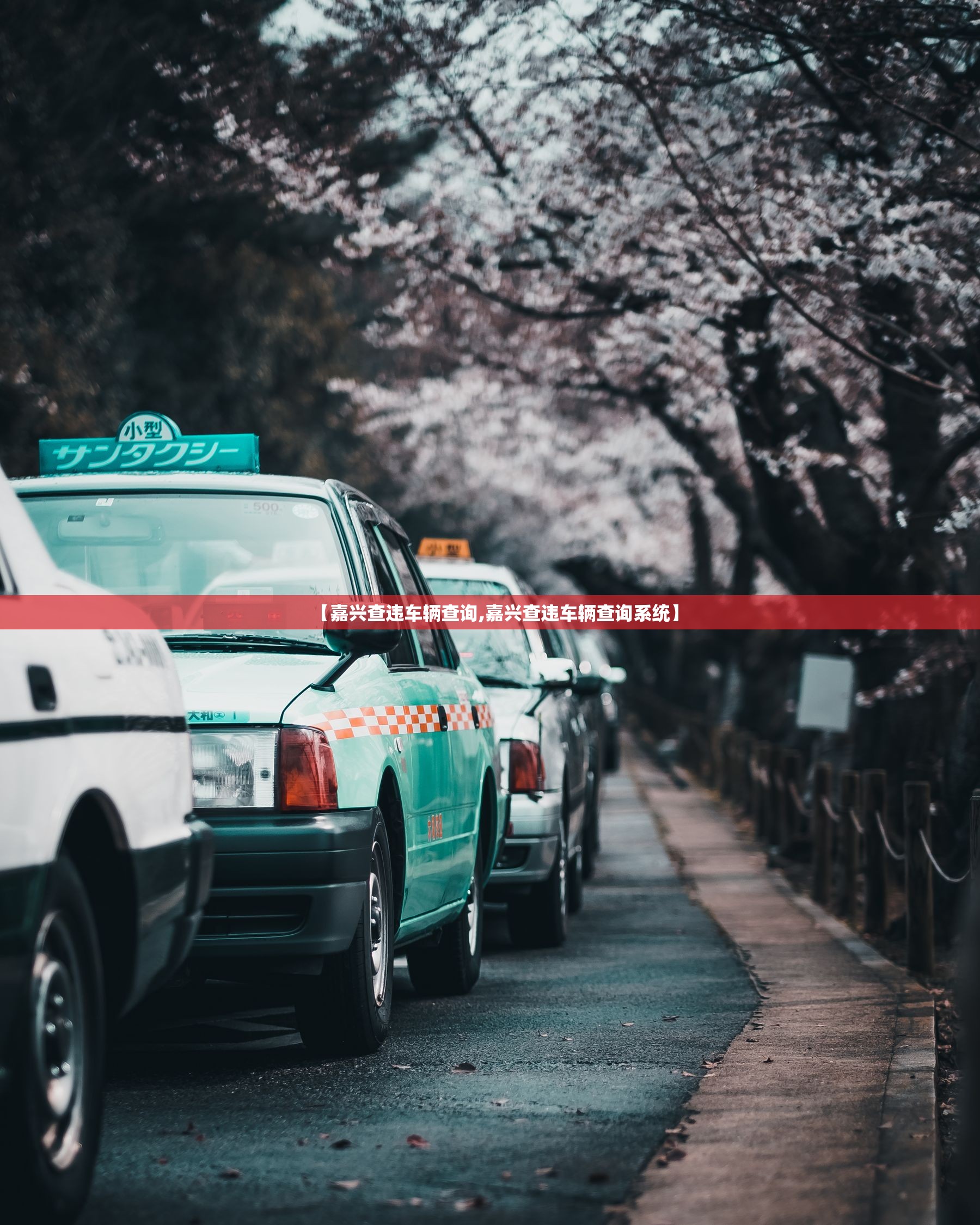 【嘉兴查违车辆查询,嘉兴查违车辆查询系统】