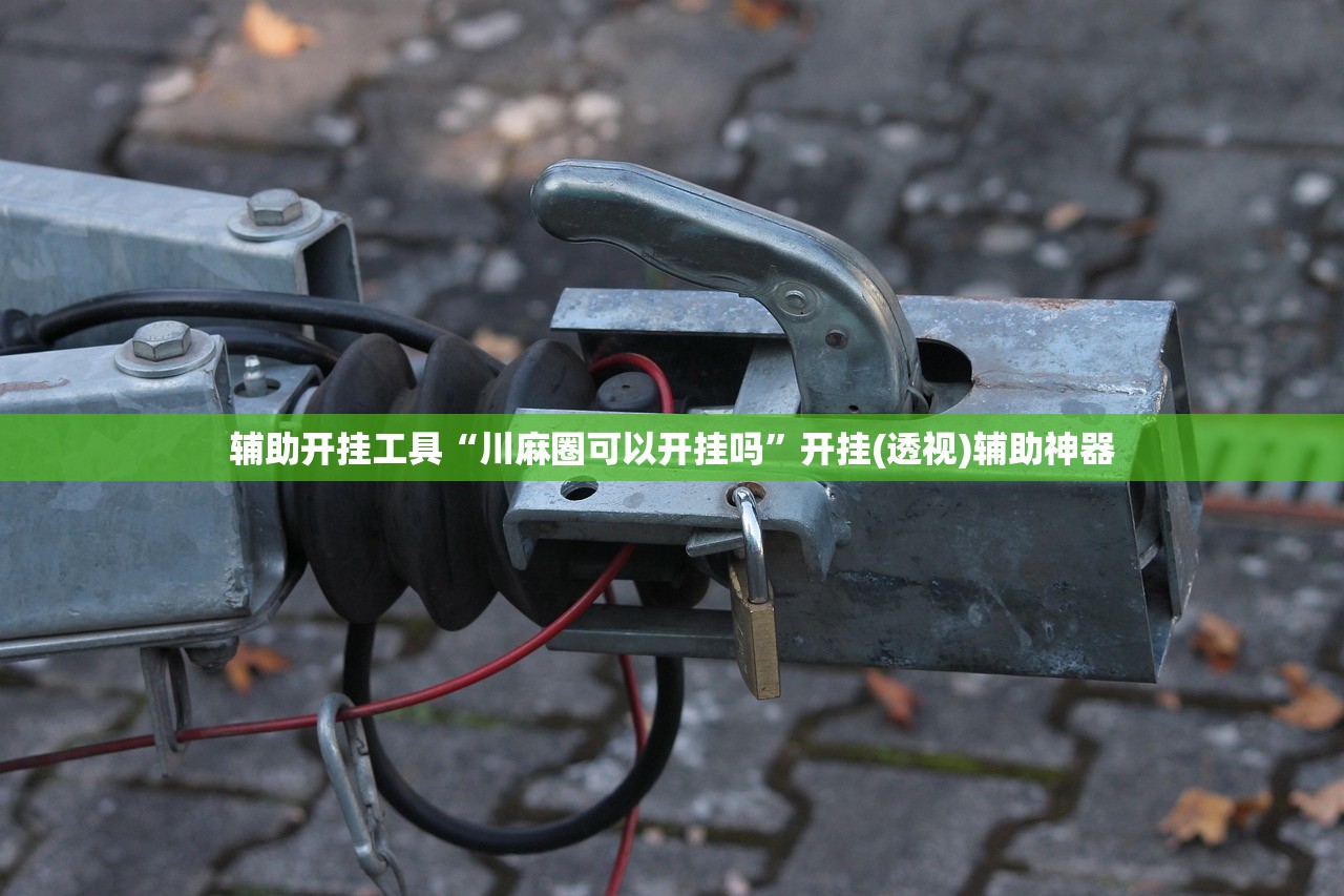 教程辅助!闲娱江西棋牌打盾有挂吗”详细分享装挂步骤