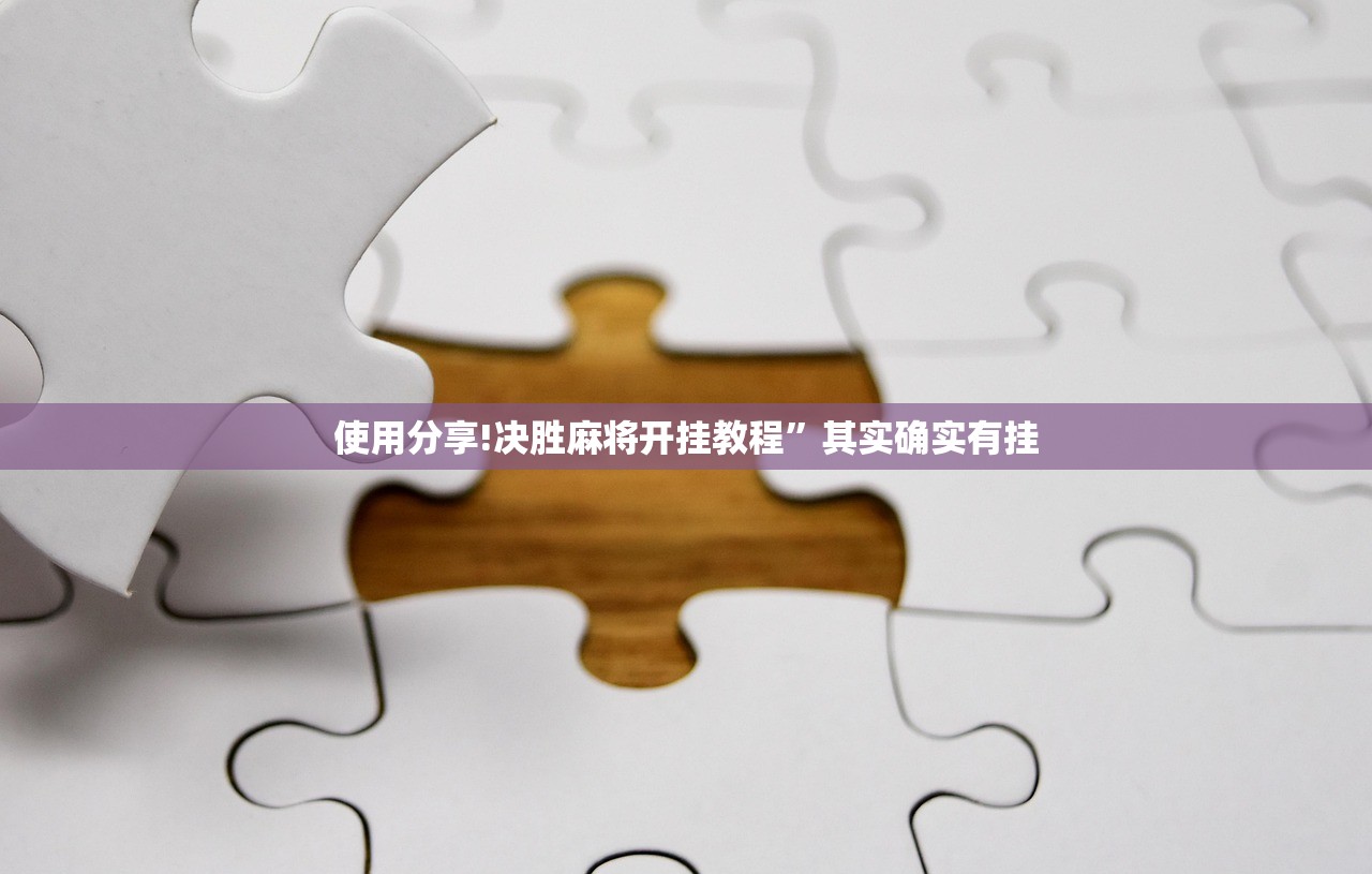 开挂辅助工具“友间十三张究竟到底有没有挂”开挂辅助脚本+详细开挂安装教程