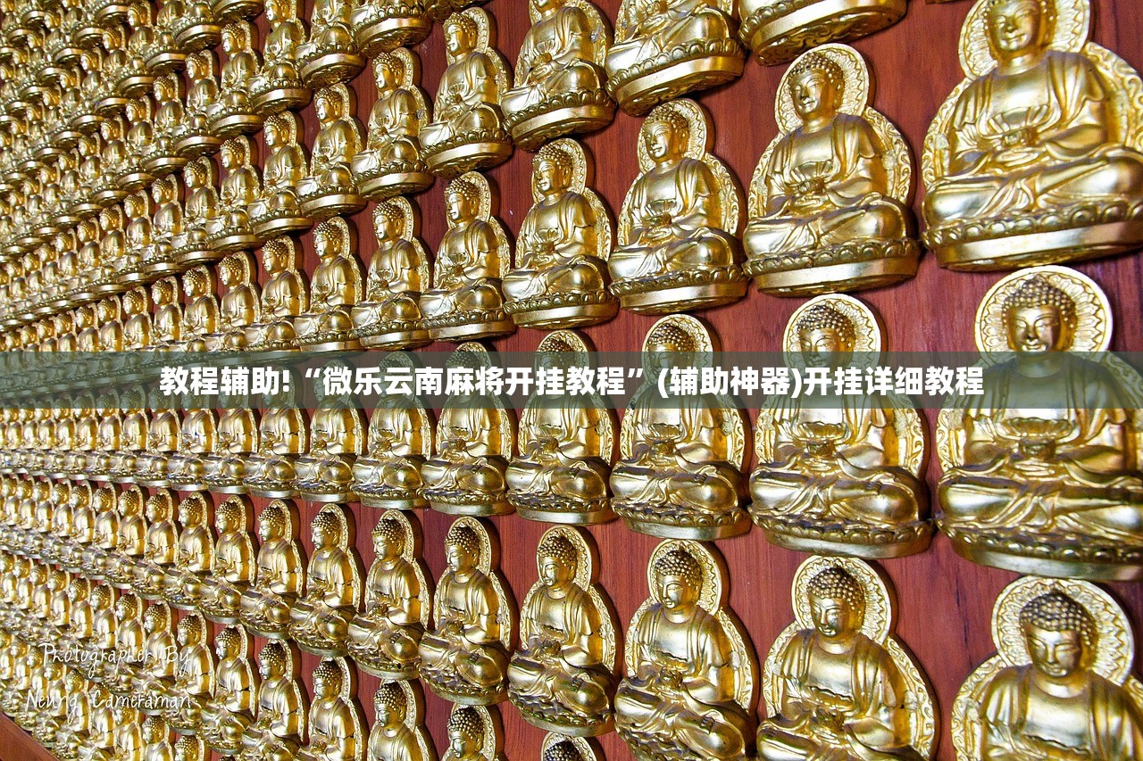 教程辅助!“微乐云南麻将开挂教程”(辅助神器)开挂详细教程