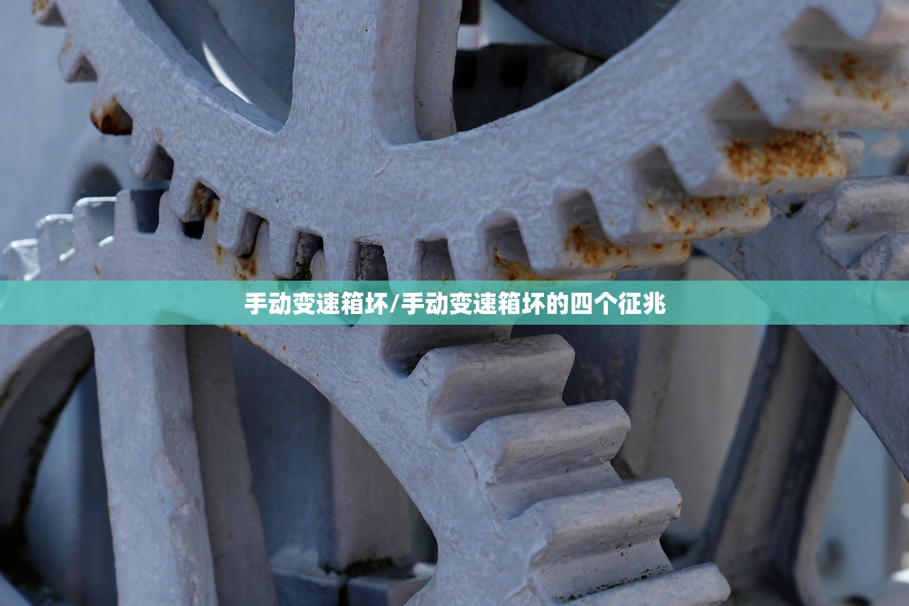包真皮座椅费用/包真皮座椅需要多少钱