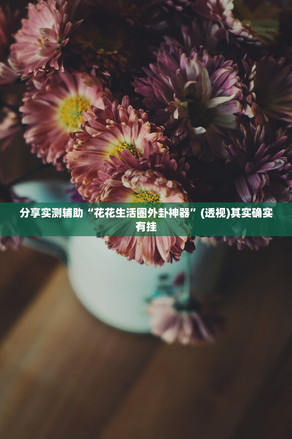 万能开挂辅助“微乐陕西挖坑开挂器(透视)”开挂辅助脚本+详细开挂安装教程