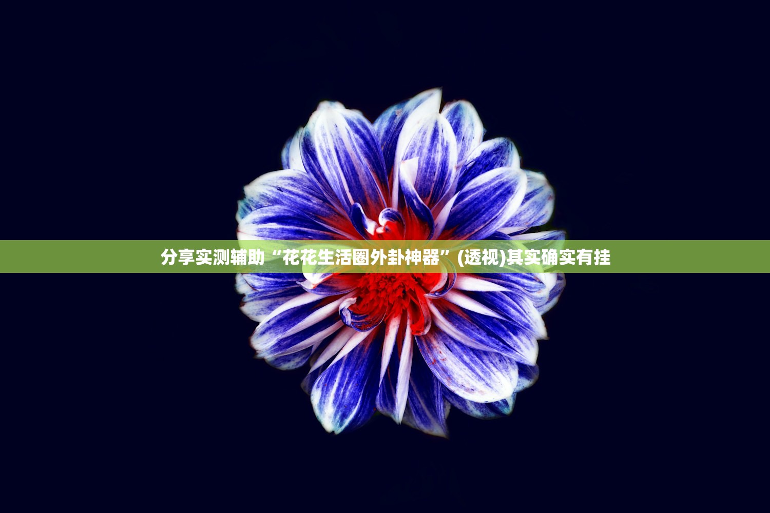 分享实测辅助“花花生活圈外卦神器	”(透视)其实确实有挂