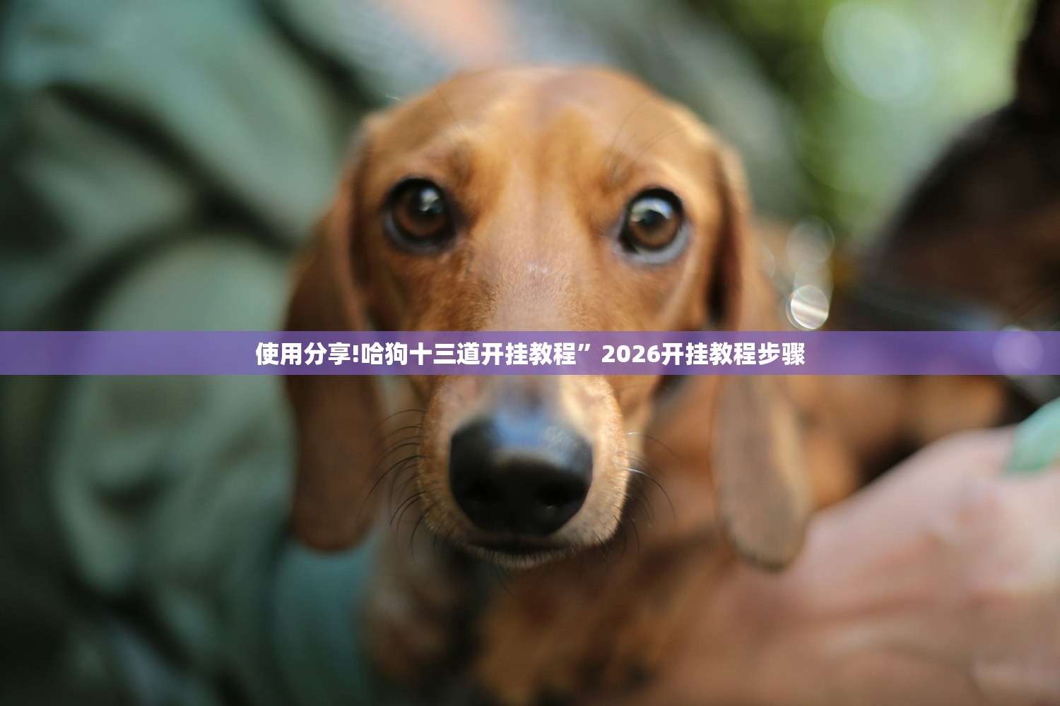 【31省新增确诊22例,31省区市新增22例确诊】