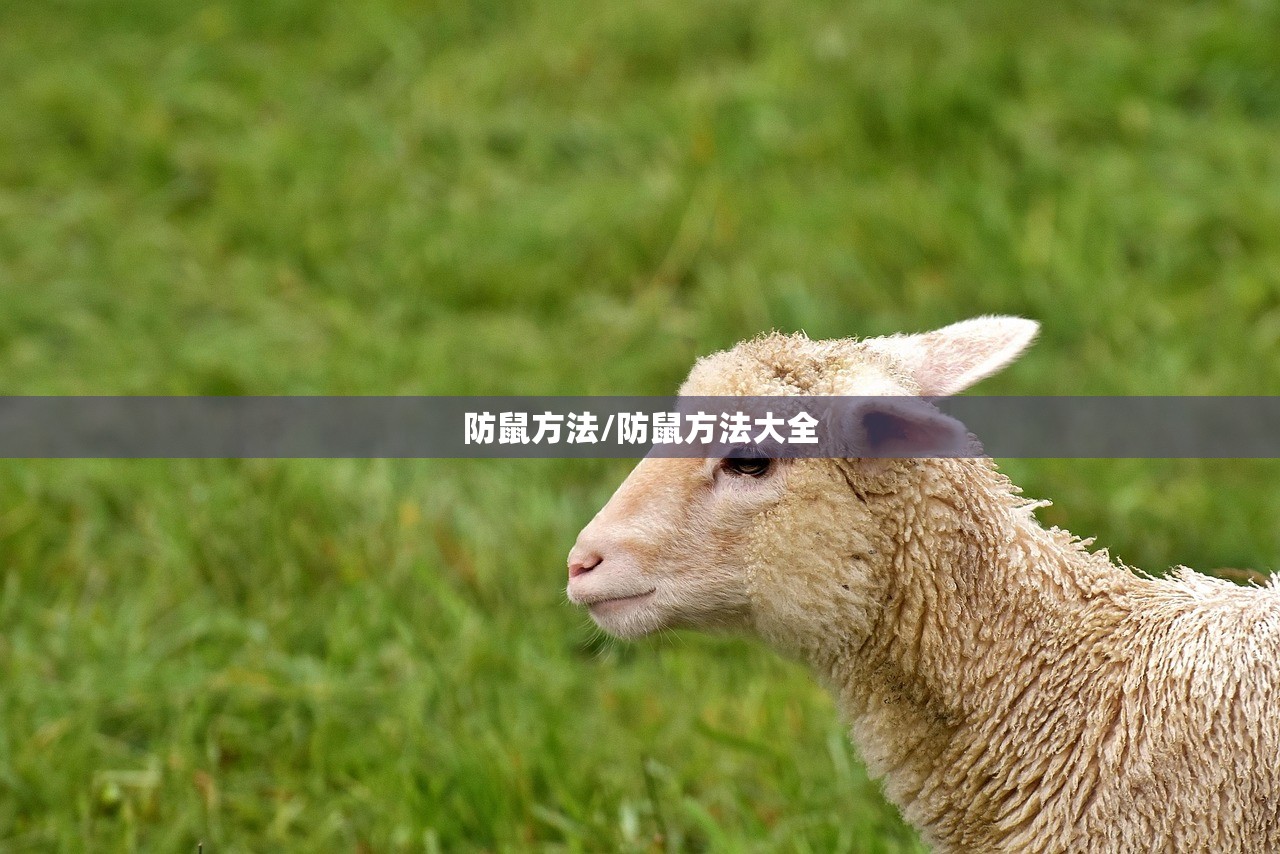 辅助神器“微乐山西麻将有没有开挂神器”开挂辅助脚本+详细开挂安装教程