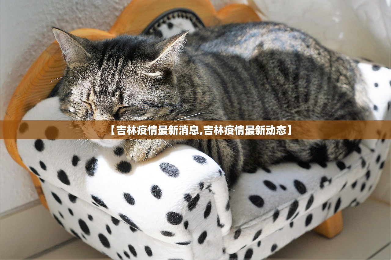 实测分享“口袋十三水开挂方法”开挂辅助脚本+详细开挂安装教程