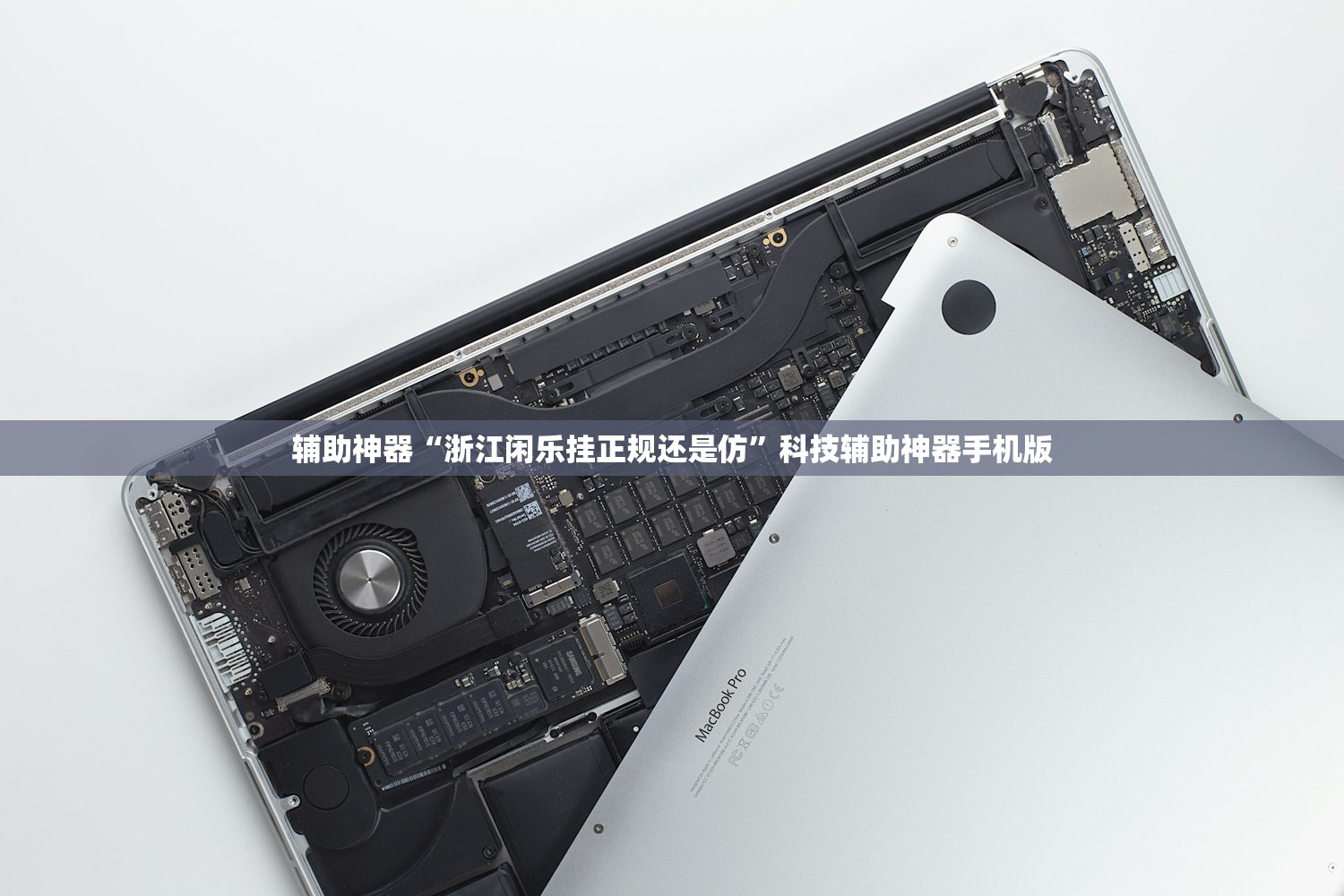 辅助神器“浙江闲乐挂正规还是仿”科技辅助神器手机版