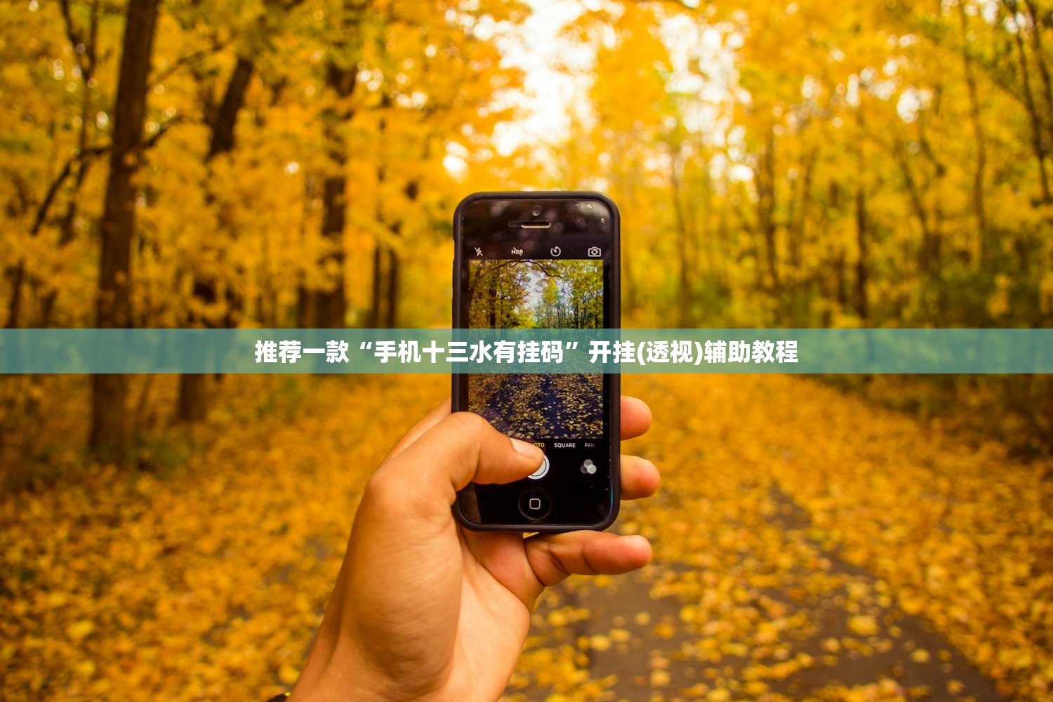 推荐一款“手机十三水有挂码”开挂(透视)辅助教程