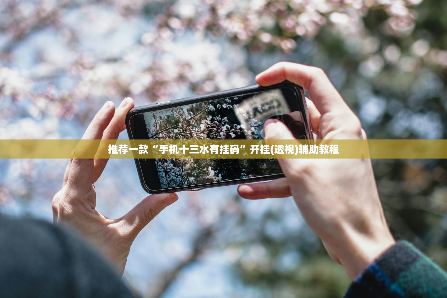 推荐一款“手机十三水有挂码”开挂(透视)辅助教程