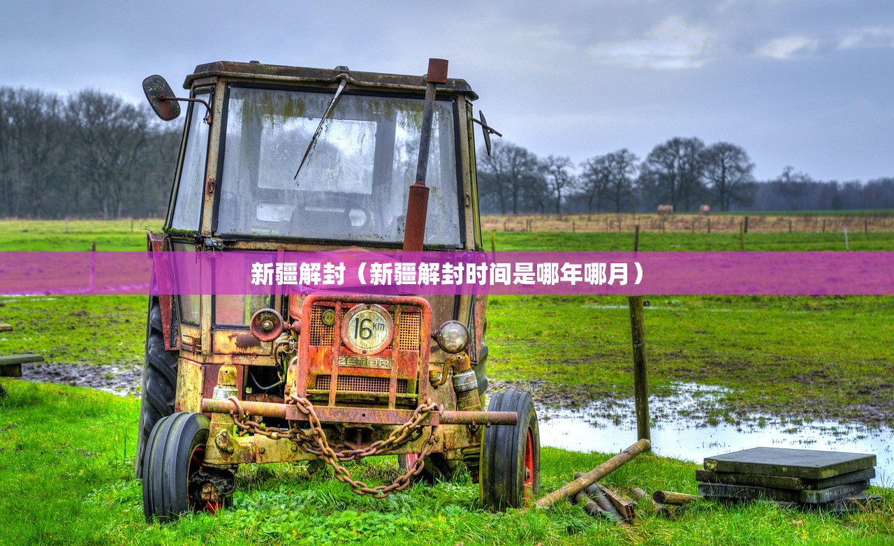 新疆解封（新疆解封时间是哪年哪月）