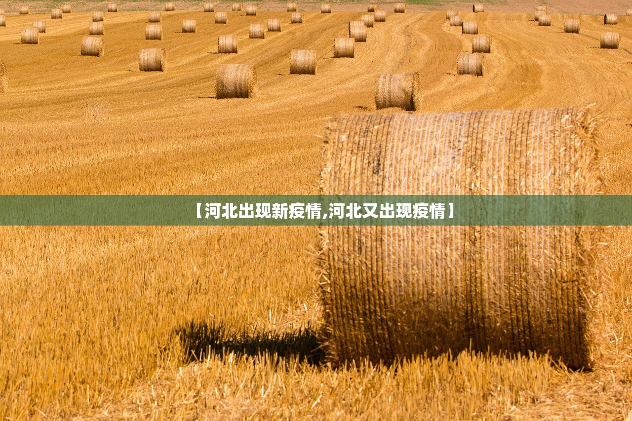 【河北出现新疫情,河北又出现疫情】