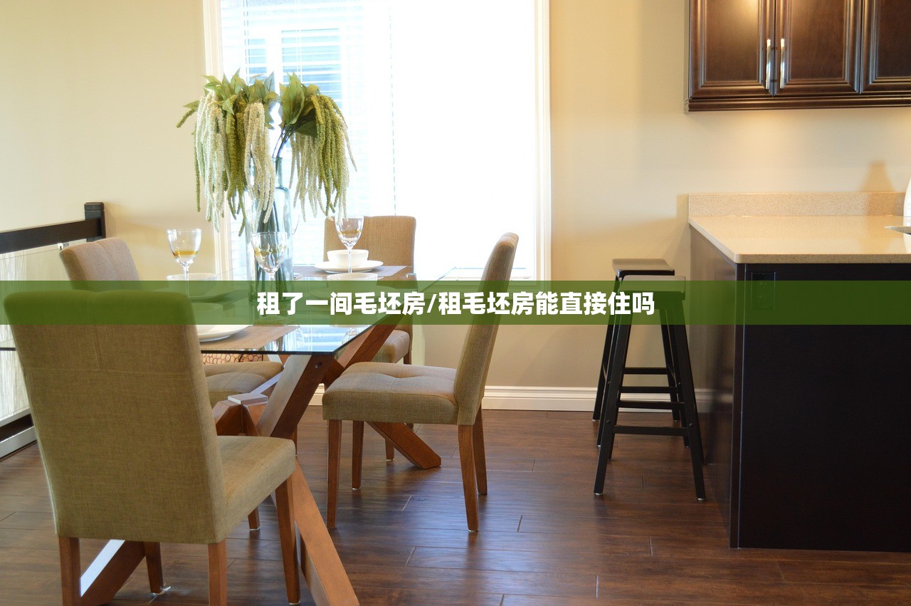 租了一间毛坯房/租毛坯房能直接住吗