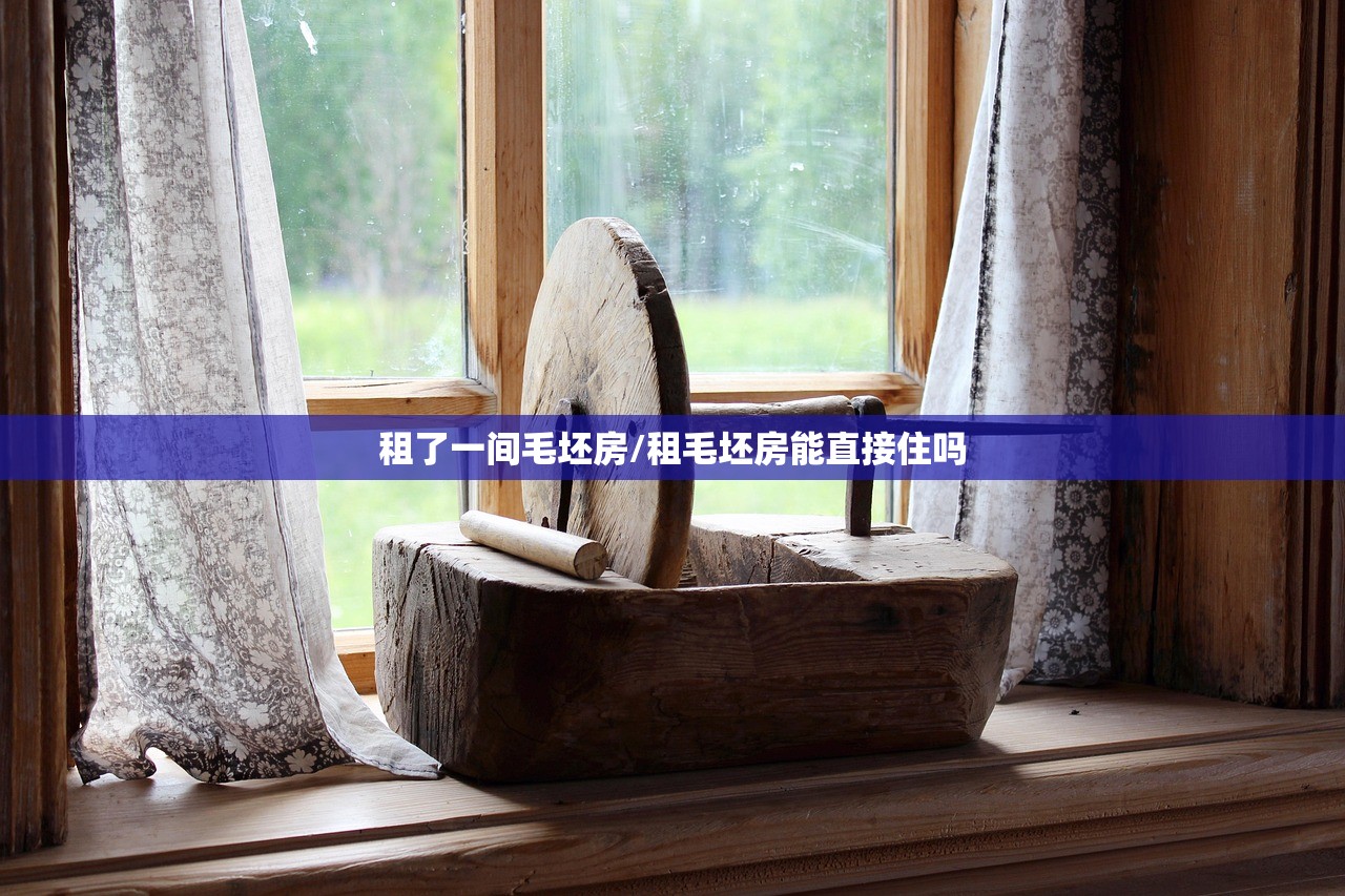 租了一间毛坯房/租毛坯房能直接住吗