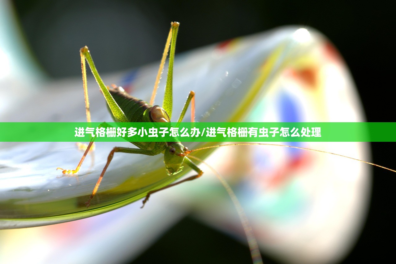 进气格栅好多小虫子怎么办/进气格栅有虫子怎么处理
