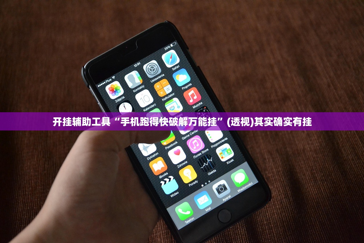 开挂辅助工具“手机跑得快破解万能挂”(透视)其实确实有挂